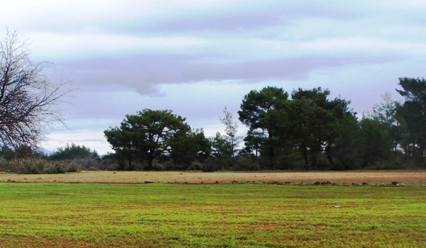 ege bölgesinde arsa ve araziler